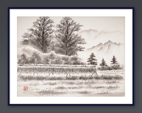 Field After Rain